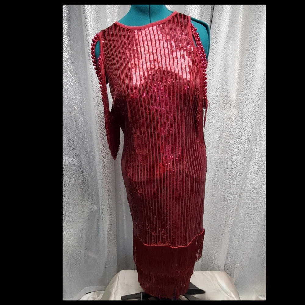 Sequin Fringe Red Party Dress Tassels 1920s Flapper Elegant Red Sequin Dress - Picture 5 of 11
